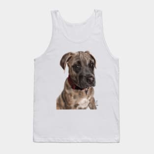 A Very Sensitive Pit Bull Puppy Tank Top